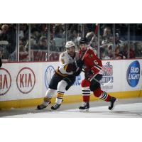 Chicago Wolves RW Ty Rattie Pushes for Space vs. the Rockford IceHogs