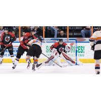 Missouri Mavericks vs. Cincinnati Cyclones