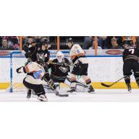 Missouri Mavericks Shoot at Quad City Mallards Goal