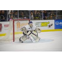 Sioux Falls Stampede Goaltender Stefanos Lekkas