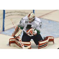 Florida Everblades Goaltender Rasmus Tirronen
