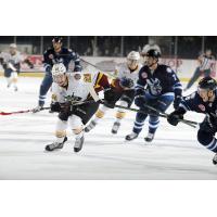 Chicago Wolves RW Cody Beach Skates Through the Manitoba Moose