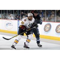 Chicago Wolves D Scooter Vaughan vs. the Manitoba Moose