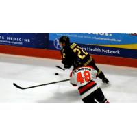 Atlanta Gladiators vs. Fort Wayne Komets
