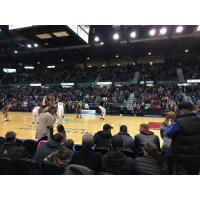 Record Saint John Mill Rats Crowd