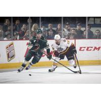 Chicago Wolves C Justin Hodgman vs. the Iowa Wild