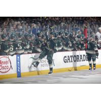 Iowa Wild Bench Celebrates a Goal