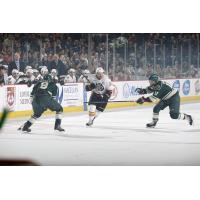 Chicago Wolves RW Zach O'Brien vs. the Iowa Wild