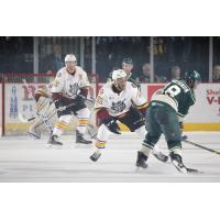 Chicago Wolves D Scooter Vaughan Defends vs. the Iowa Wild