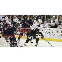 Atlanta Gladiators Control the Puck vs. the Greenville Swamp Rabbits