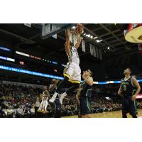 London Lightning Dunk on the Niagara River Lions