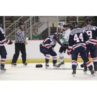 Louisiana IceGators Fight with the Macon Mayhem