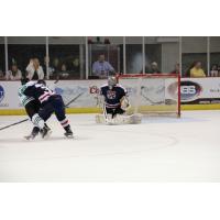 Louisiana IceGators Shoot against the Macon Mayhem