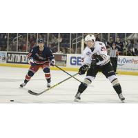 Atlanta Gladiators vs. Greenville Swamp Rabbits