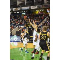 London Lightning Go up for a Shot vs. the Niagara River Lions