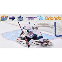 Orlando Solar Bears Goaltender Ryan Massa