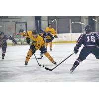 Springfield Jr. Blues Head up the Ice