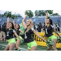New York Lizards Dance Team