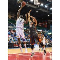 Saint John Mill Rats Go up for a Shot vs. the Moncton Miracles
