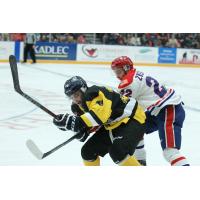 Tri-City Americans Hold off the Spokane Chiefs