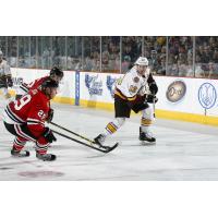 Pat Cannone of the Chicago Wolves vs. the Rockford IceHogs