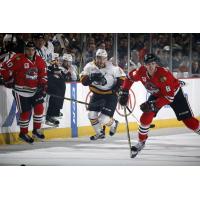 Chicago Wolves C Zack Torquato vs. the Rockford IceHogs