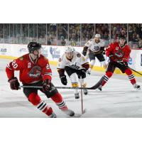 Chicago Wolves RW Ty Rattie Skates up Ice the Rockford IceHogs