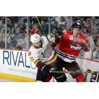 Chicago Wolves LW Riley Brace vs. the Rockford IceHogs