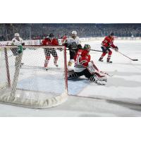 Chicago Wolves Press the Rockford IceHogs Net