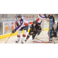 Atlanta Gladiators Chase the Norfolk Admirals