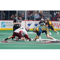 Jordan MacIntosh of the Georgia Swarm and the Colorado Mammoth Face Off