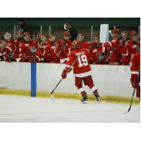 Port Huron Prowlers Celebrate a Goal