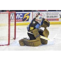 Mississippi RiverKings Goaltender Garrett Sheehan