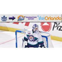 Orlando Solar Bears Goaltender Rob Madore