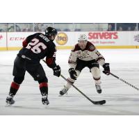 Chicago Wolves C Pat Cannone vs. the Lake Erie Monsters