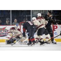 Chicago Wolves Goaltender Jordan Binnington vs. the Lake Erie Monsters