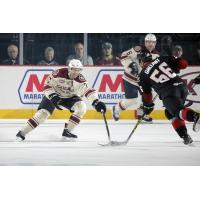 Chicago Wolves D Peter Harrold vs. the Lake Erie Monsters