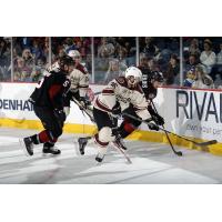 Chicago Wolves RW Riley Brace vs. the Lake Erie Monsters