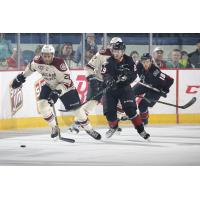 Chicago Wolves D Scooter Vaughan vs. the Lake Erie Monsters