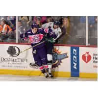 Florida Everblades and the Orlando Solar Bears up against the Glass