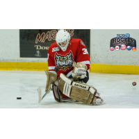 Port Huron Prowlers Goaltender Andy DiCristofaro