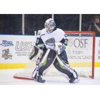 Bloomington Thunder Goaltender Logan Halladay