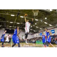 Jordan Mickey of the Maine Red Claws Skies toward the Rim