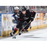 Lake Erie Monsters vs. the Milwaukee Admirals
