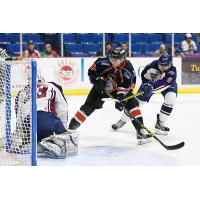 Jesse Root of the Missouri Mavericks vs. the Tulsa Oilers