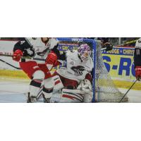 Elmira Jackals Goaltender C.J. Motte Blocks the Net