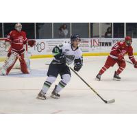 Vladislav Dzhioshvili of the Bloomington Thunder