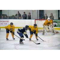 Springfield Jr. Blues vs. the Janesville Jets
