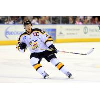 Colorado Eagles Forward Trent Daavettila in Action