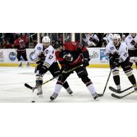 Atlanta Gladiators vs. the Cincinnati Cyclones